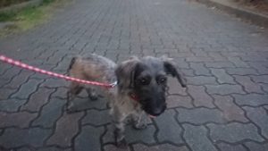 夜のお時間 2018/11/11