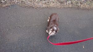 朝のお時間 2018/11/13