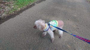 とても静かな夜 2018/11/13