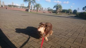 夜のお時間 2018/11/14