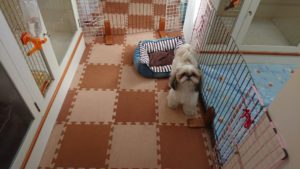 朝のお時間 2018/11/15