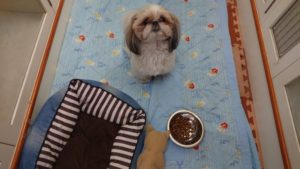 お昼のお時間 2018/11/15