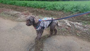 朝のお時間 2018/11/18