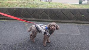 朝のお時間 2018/11/19