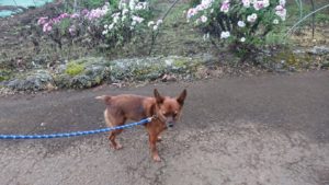 いいね！ 2018/11/19