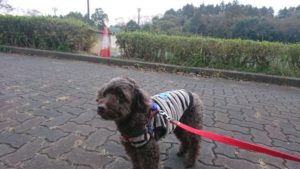 爆睡中 2018/11/21