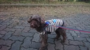 夜のお時間 2018/11/23