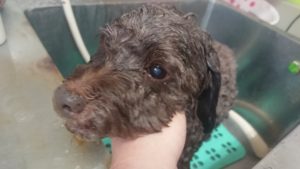 冷えないようにね！ 2018/11/24