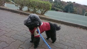 デッデッデッデ！ 2018/11/29