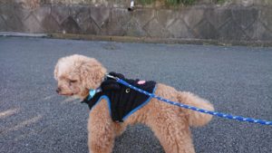 お水のトラブルク〇ーシアン 2018/11/30