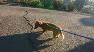 ちゃんとね 2018/11/3