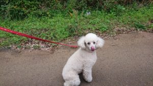 問題なく 2018/11/4