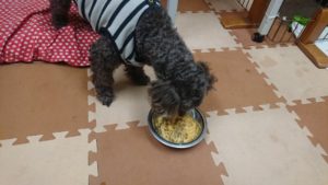 とりあえず 2018/11/17