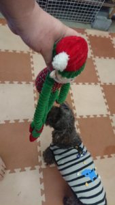 なんだろう？ 2018/11/20