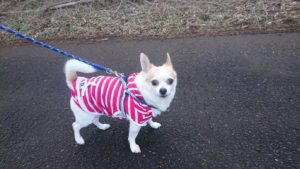 朝のお時間 2018/11/24