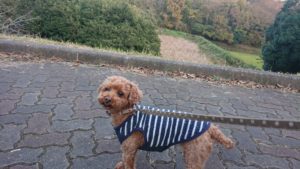 夜のお時間 2018/11/25