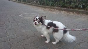 夜のお時間 2018/11/28