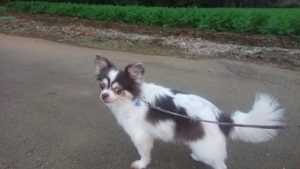 夜のお時間 2018/11/8