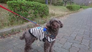 あら。 2018/11/20