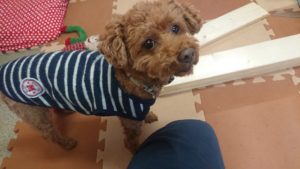 興味ある？ 2018/11/23