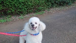 夜のお時間 2018/11/3