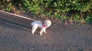 夜のお時間 2018/11/1