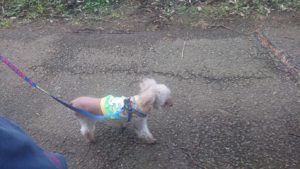 夜からお仲間 2018/11/12