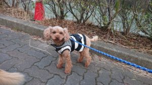 夜の時間 2018/12/20