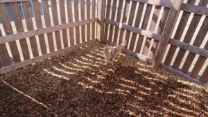 あっちやこっちや 2018/12/21