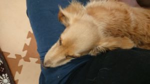 ビッグサイズ 2018/12/22