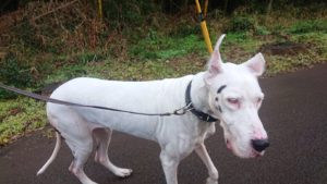 朝から 2018/12/23