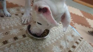 お昼のお時間 2018/12/23