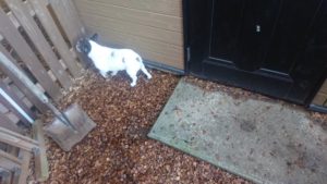 朝のお時間 2018/12/24