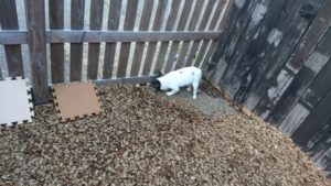 夜の時間 2018/12/24