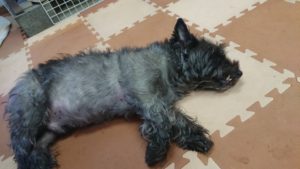 お昼のお時間 2018/12/25