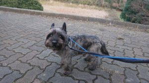 夜の時間 2018/12/25