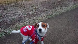 朝のお時間 2018/12/26