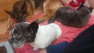 ビチャビチャやんけ(笑) 2018/12/26