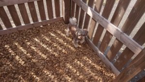 お昼のお時間 2018/12/27