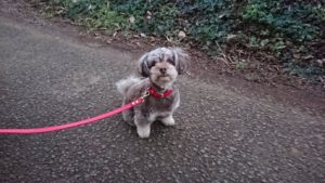 わいわい 2018/12/28