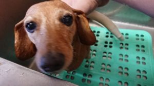 そんなにか(笑) 2018/12/28