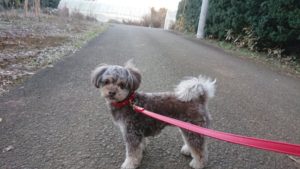 夜の時間 2018/12/28