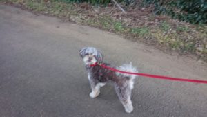 朝のお時間 2018/12/29