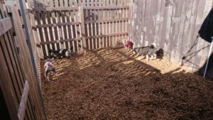 昼ちょっと過ぎ 2018/12/29