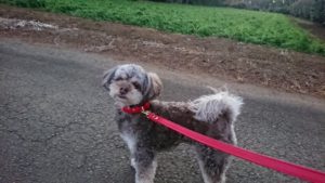 朝のお時間 2018/12/30