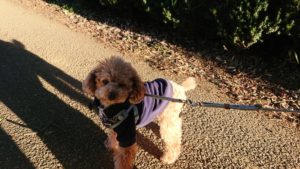 夜の時間です 2018/12/30