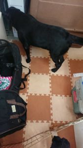 昼の時間 2018/12/31