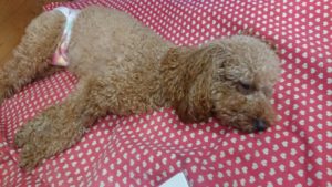 お昼の時間 2018/12/1