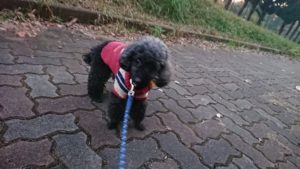 夜のお時間 2018/12/1