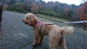 夜のお時間 2018/12/2